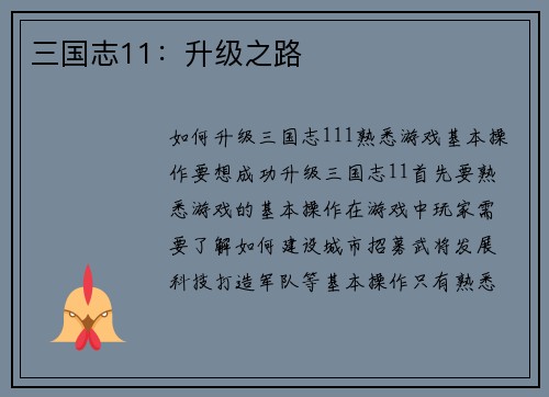 三国志11：升级之路