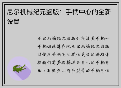 尼尔机械纪元盗版：手柄中心的全新设置