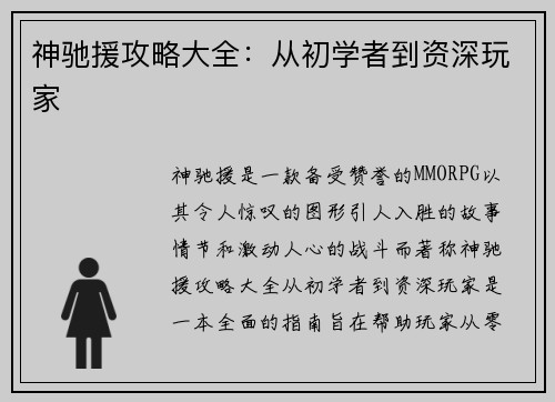 神驰援攻略大全：从初学者到资深玩家